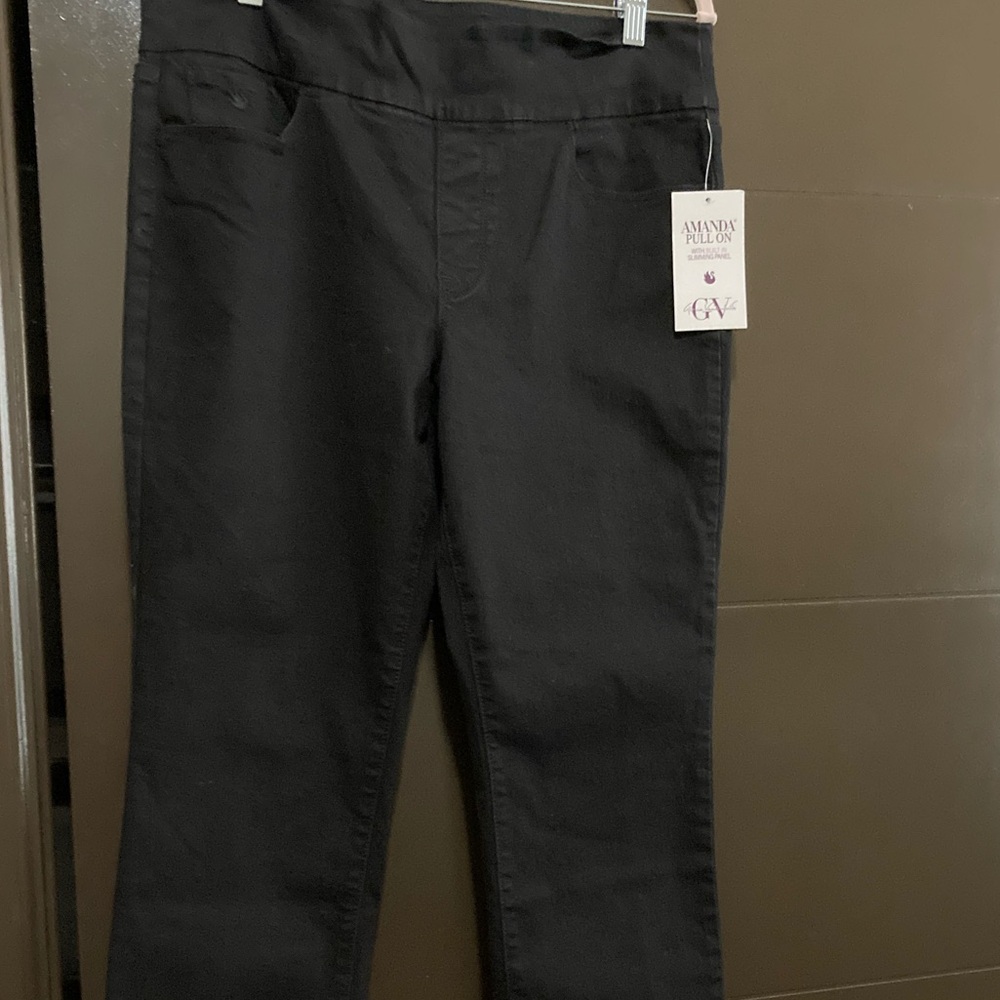 Amanda Pull On Pants with built in slimming Panel 14 Short